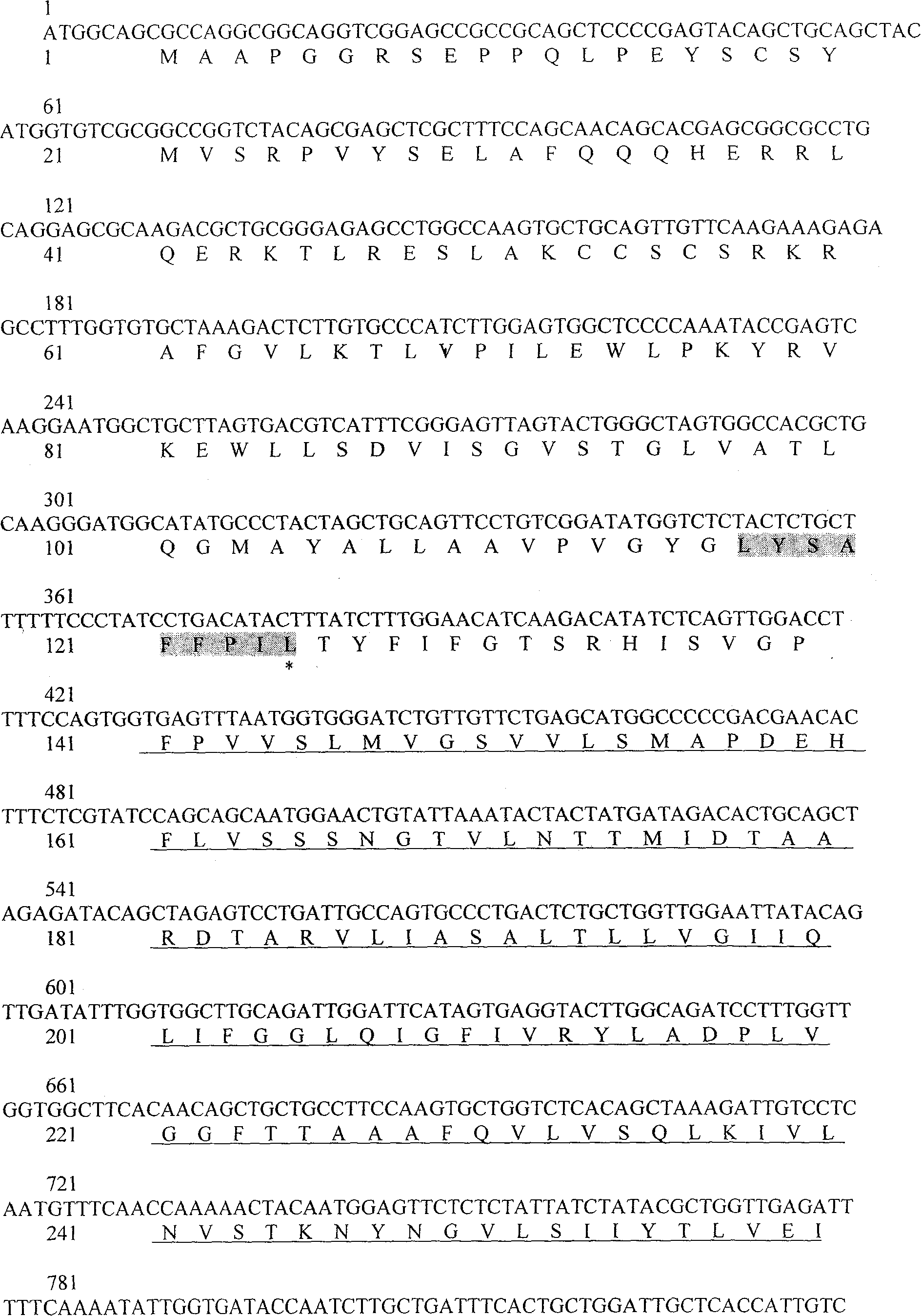 Reagent case for detecting 349delC mutation of large vestibular aqueduct related gene SLC26A4