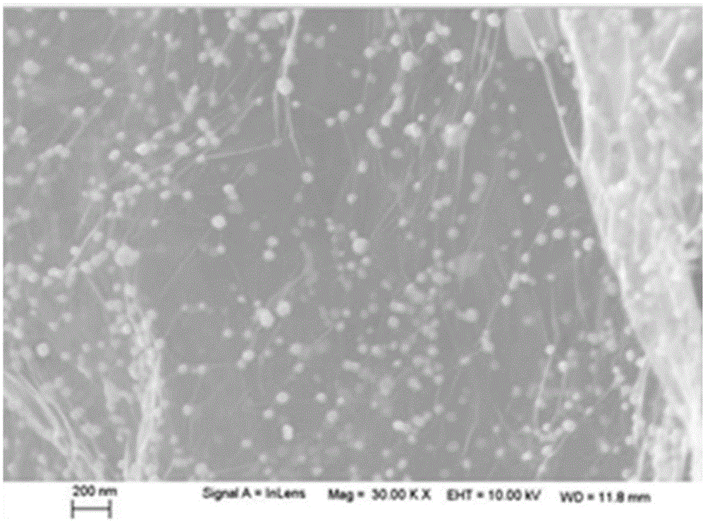 Graphene-noble metal nanoparticle compound hydrogel and aerogel and preparing method and application thereof