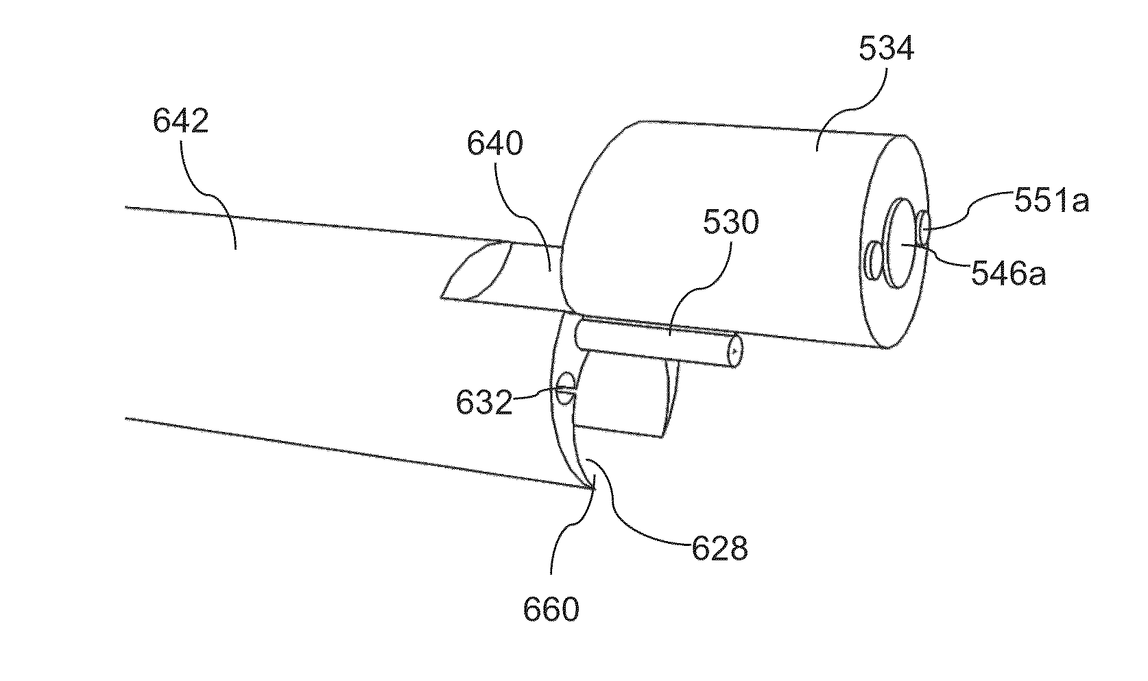 Endoscope with shared working channel