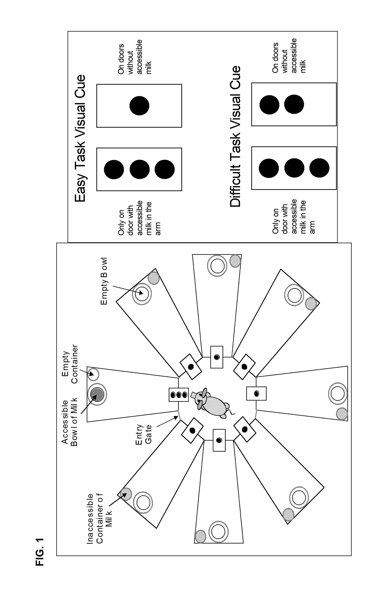 Composition comprising siallyllactose for use in enhancing learning skills and memory function