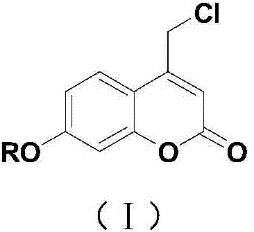 Coumarin esterified derivative with effect of inhibiting transcriptional activity of RXRalpha (Retinoid X Receptor) as well as preparation method and application of coumarin esterified derivative