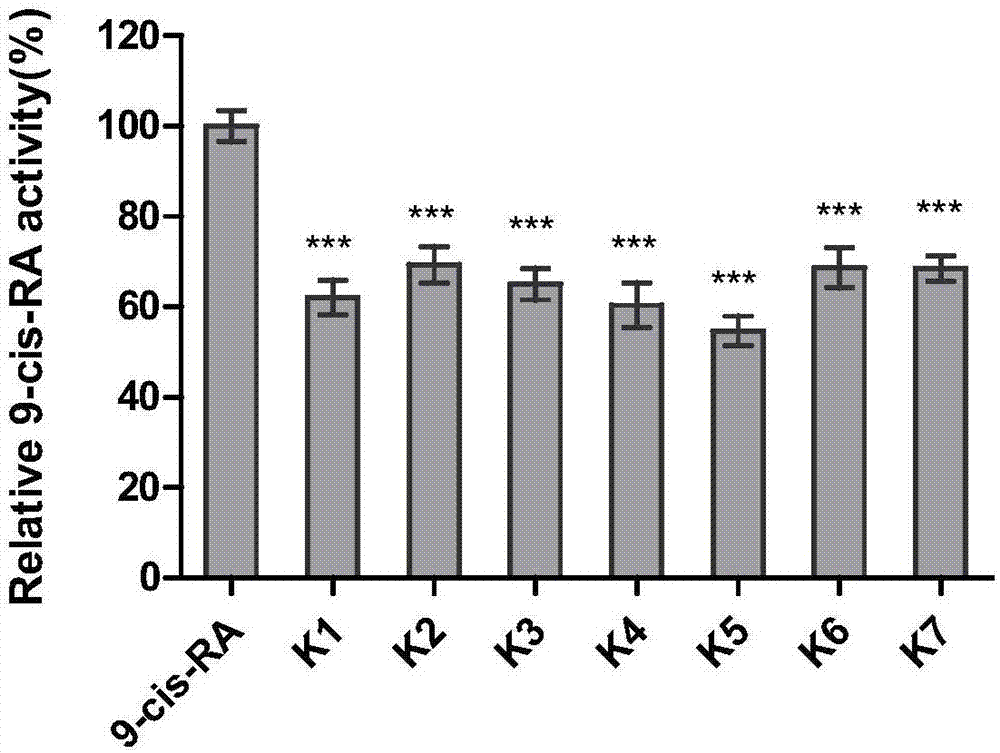 Coumarin esterified derivative with effect of inhibiting transcriptional activity of RXRalpha (Retinoid X Receptor) as well as preparation method and application of coumarin esterified derivative