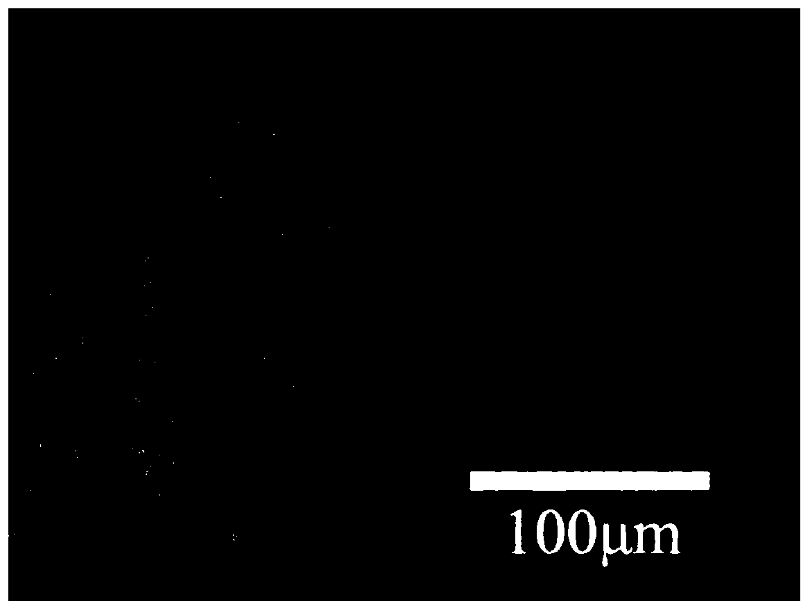 Method for determining Avrami mathematical model coefficient of metal dynamic recrystallization volume fraction