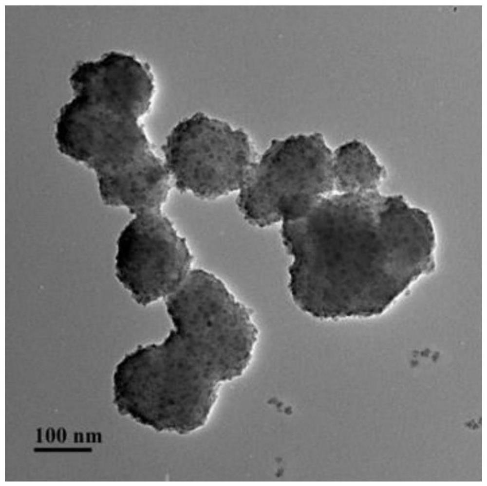 Preparation method and application of radix ranunculi ternati multi-arm phospholactone substance with breast cancer targeting structure