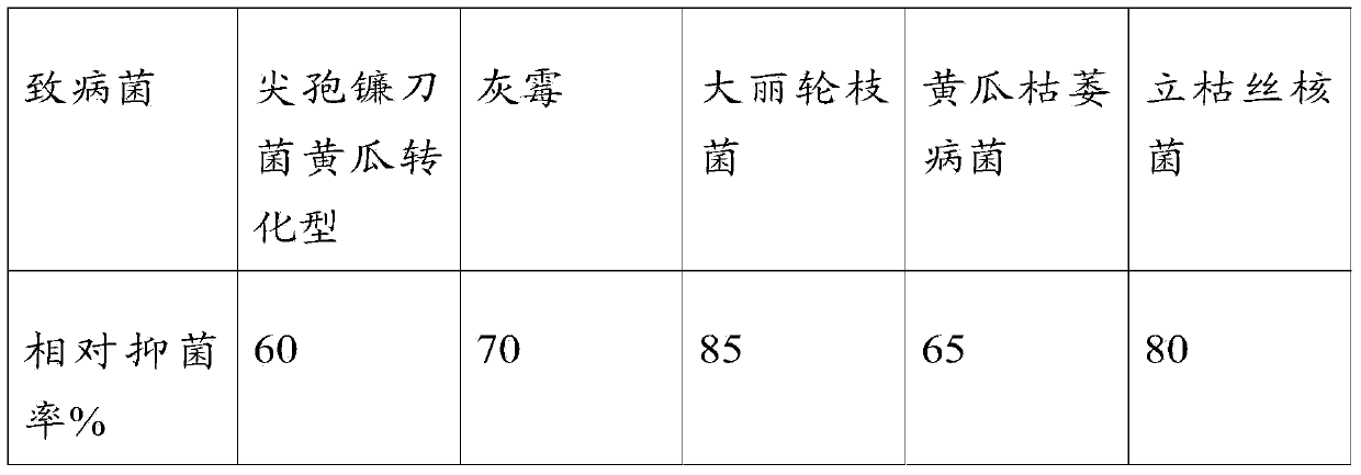 Microbe, application of microbe in bio-fertilizer preparation, bio-fertilizer and application of bio-fertilizer