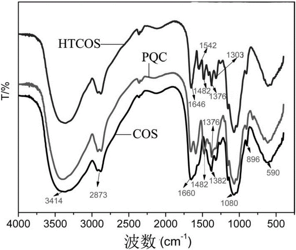 Amphipathic chitosan quaternary ammonium salt derivative and preparation and application thereof