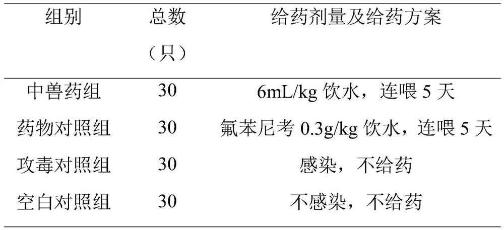 Chinese veterinary drug preparation for treating chicken colibacillosis and preparation method thereof