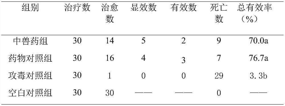 Chinese veterinary drug preparation for treating chicken colibacillosis and preparation method thereof