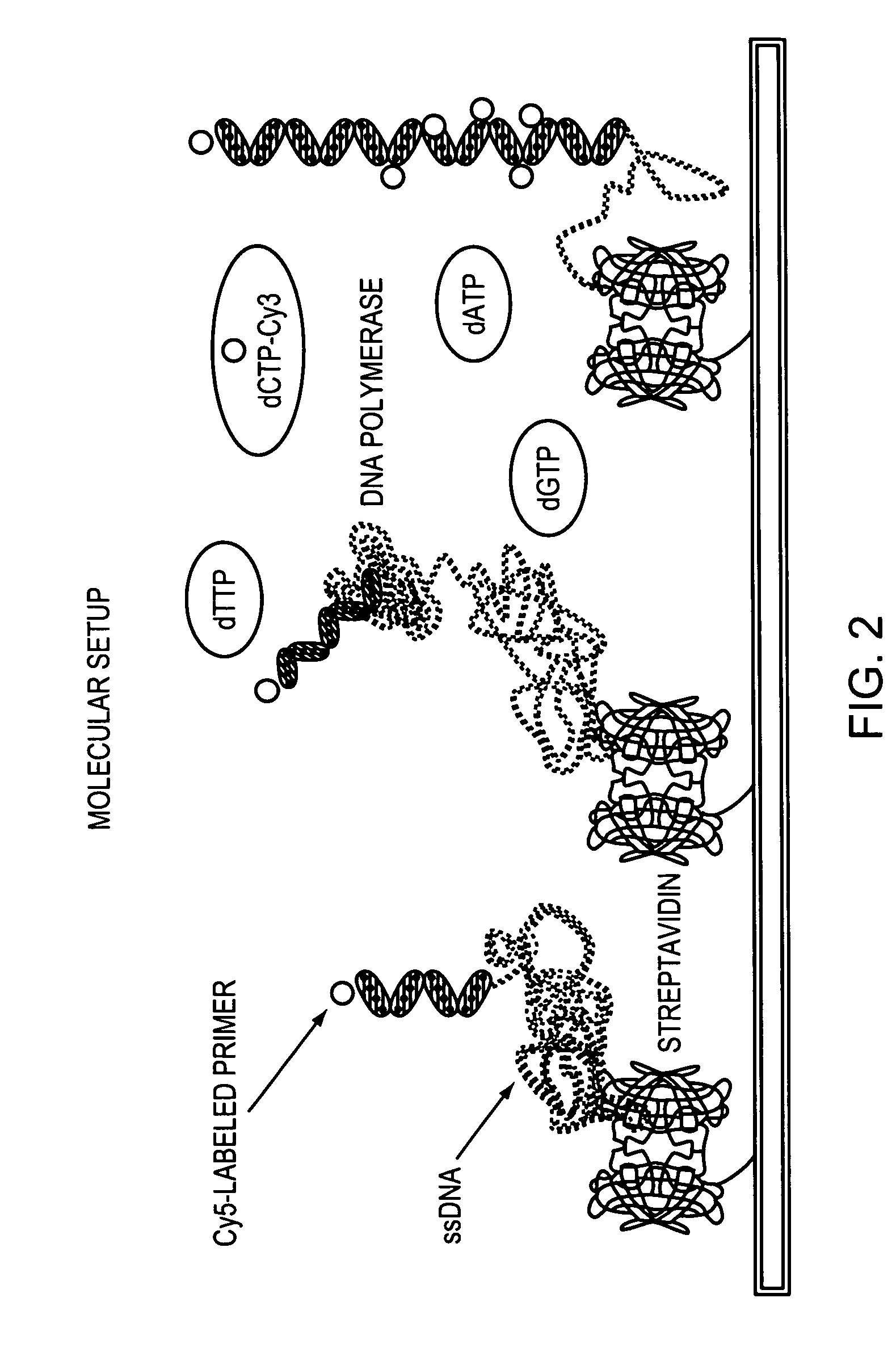 Methods and devices for nucleic acid sequence determination