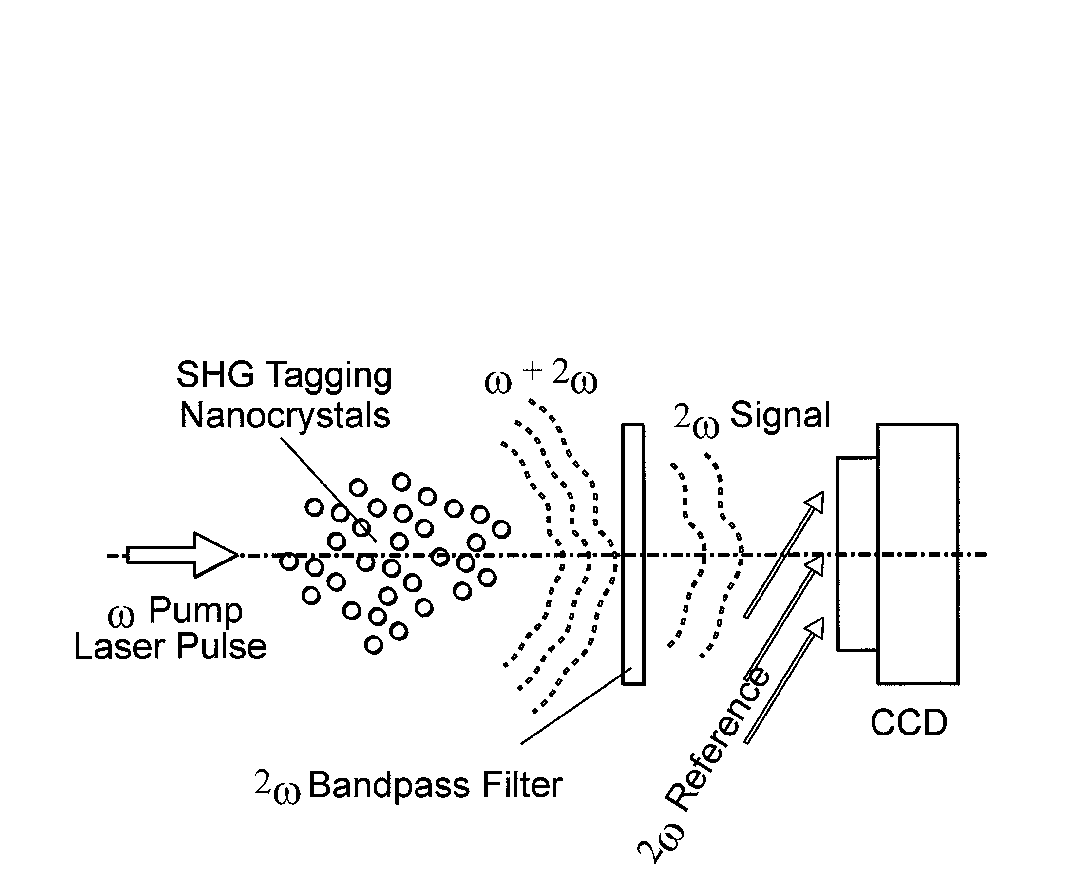 Method of nonlinear harmonic holography