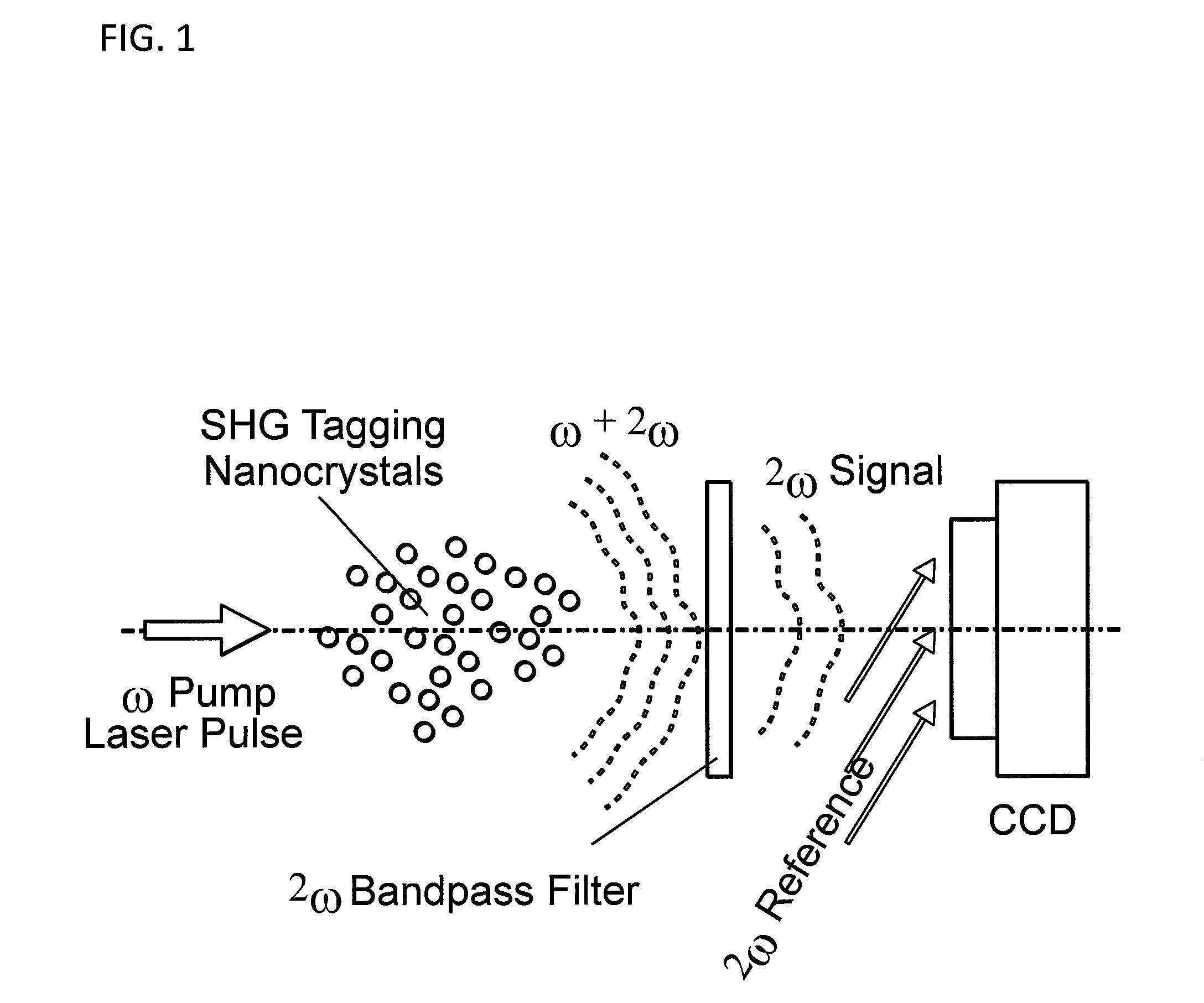 Method of nonlinear harmonic holography