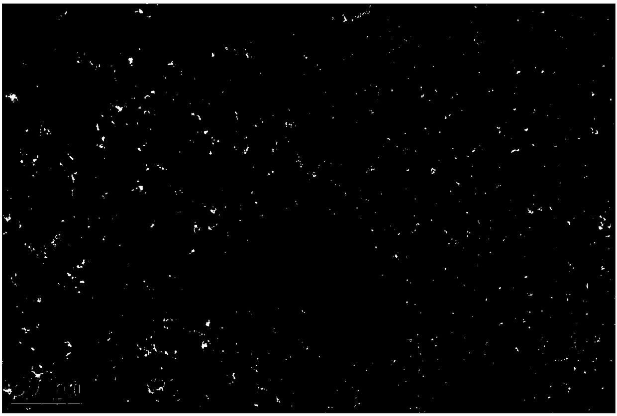 Preparing method of nanometer nickel-cobalt-sulphur particles serving as positive electrode of lithium sulphur battery