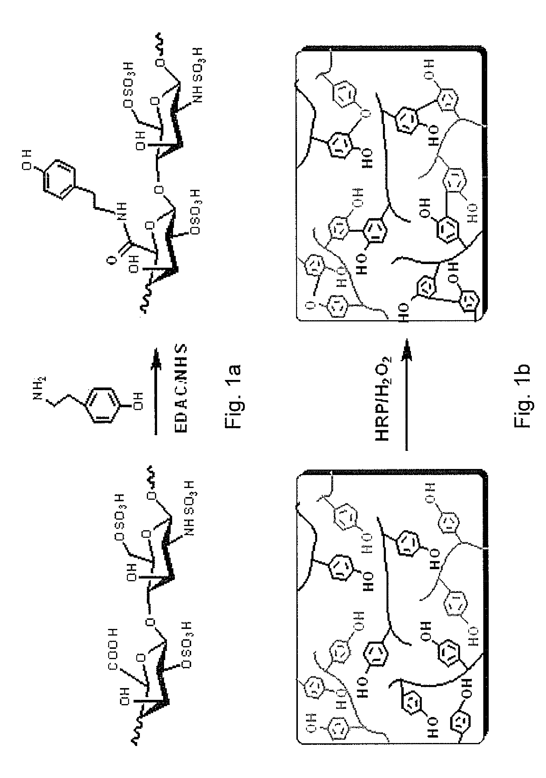 Hydrogels based on polymers of dextran tyramine and tyramine conjugates of natural polymers