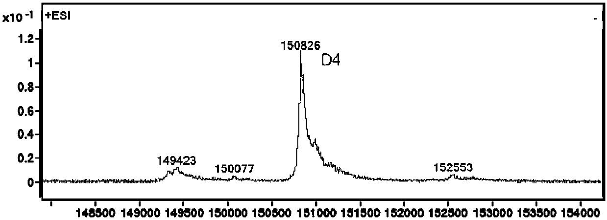 TF-targeted antibody-drug conjugate and preparation method and application thereof