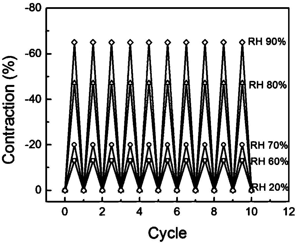 Preparation method of smart fabric based on silk artificial muscles