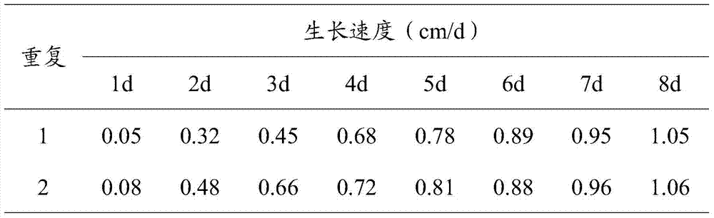 Metarhizium anisopliae mfyy090714 and its application