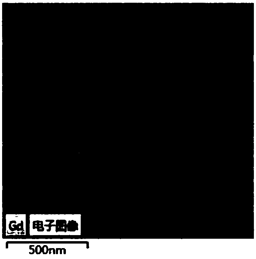 Fullerene polyaza ligand transition metal complex for magnetic resonance imaging and photodynamic therapy, preparation method, application and products