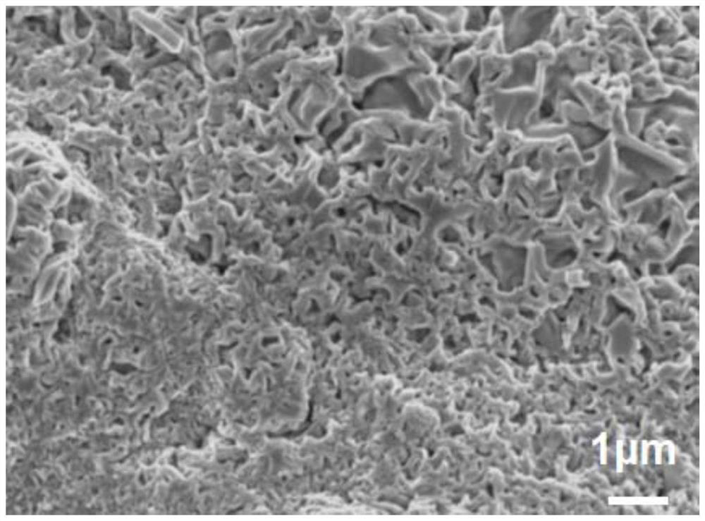 Preparation method and application of manganese-cobalt spinel coating