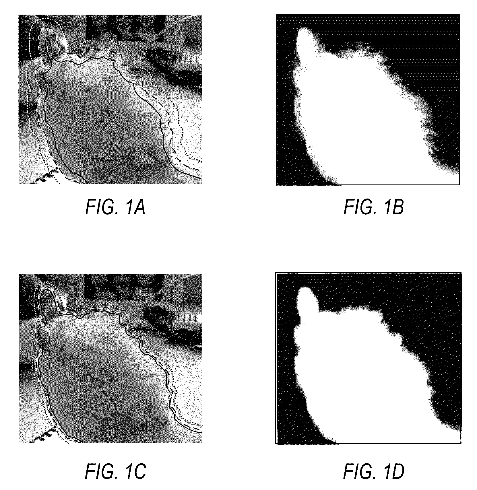 Adaptive trimap propagation for video matting