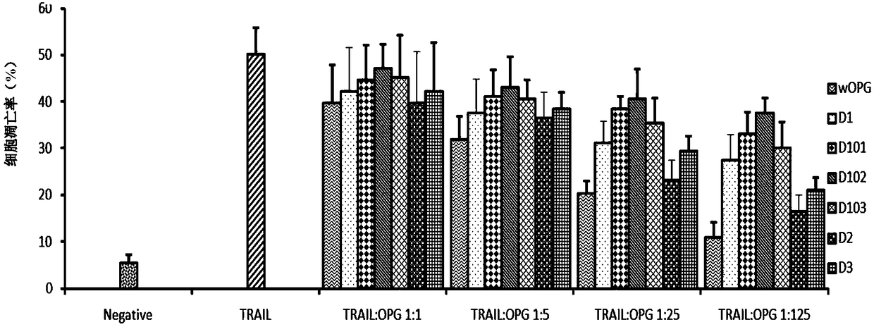 Mutant protein of osteoprotegerin, as well as relevant product and application thereof