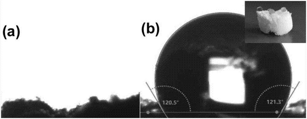 Hydrophobic modification method of nanocellulose