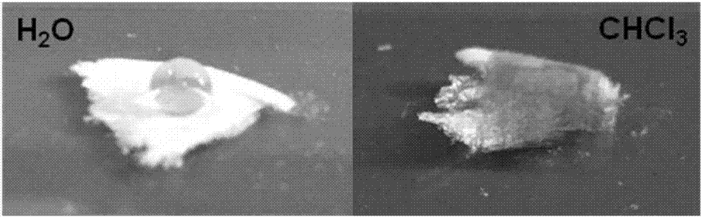 Hydrophobic modification method of nanocellulose