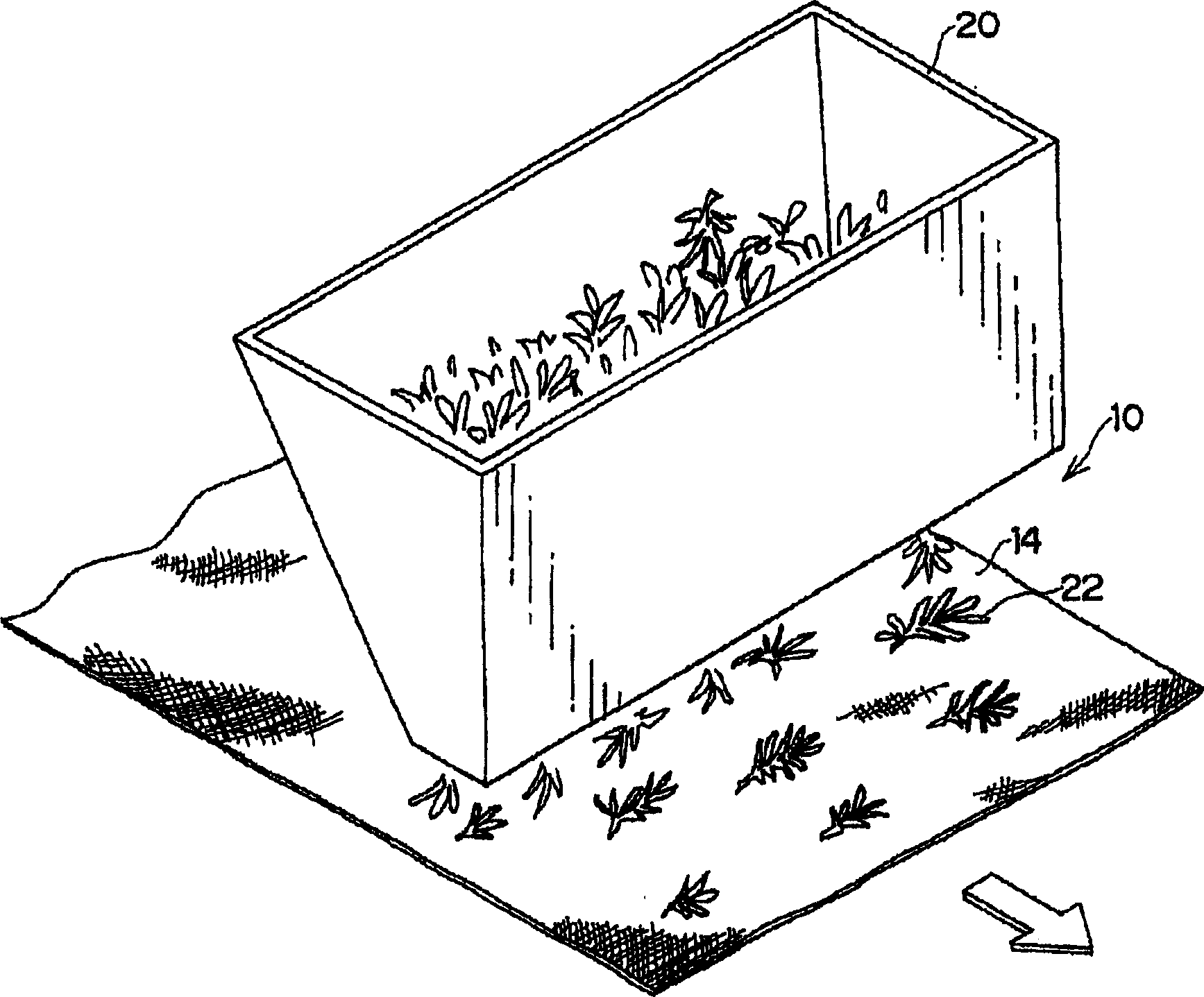 Plant sheet, process for producing the same and greening method using the plant sheet