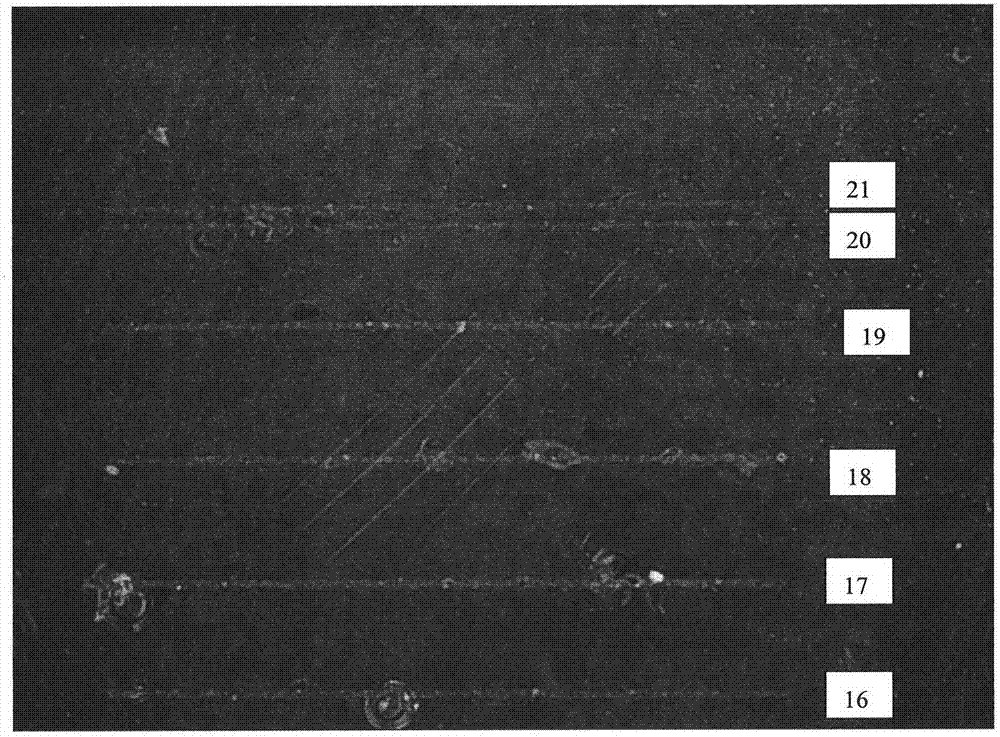 Fiber laser engraving equipment and technological method for organic glass