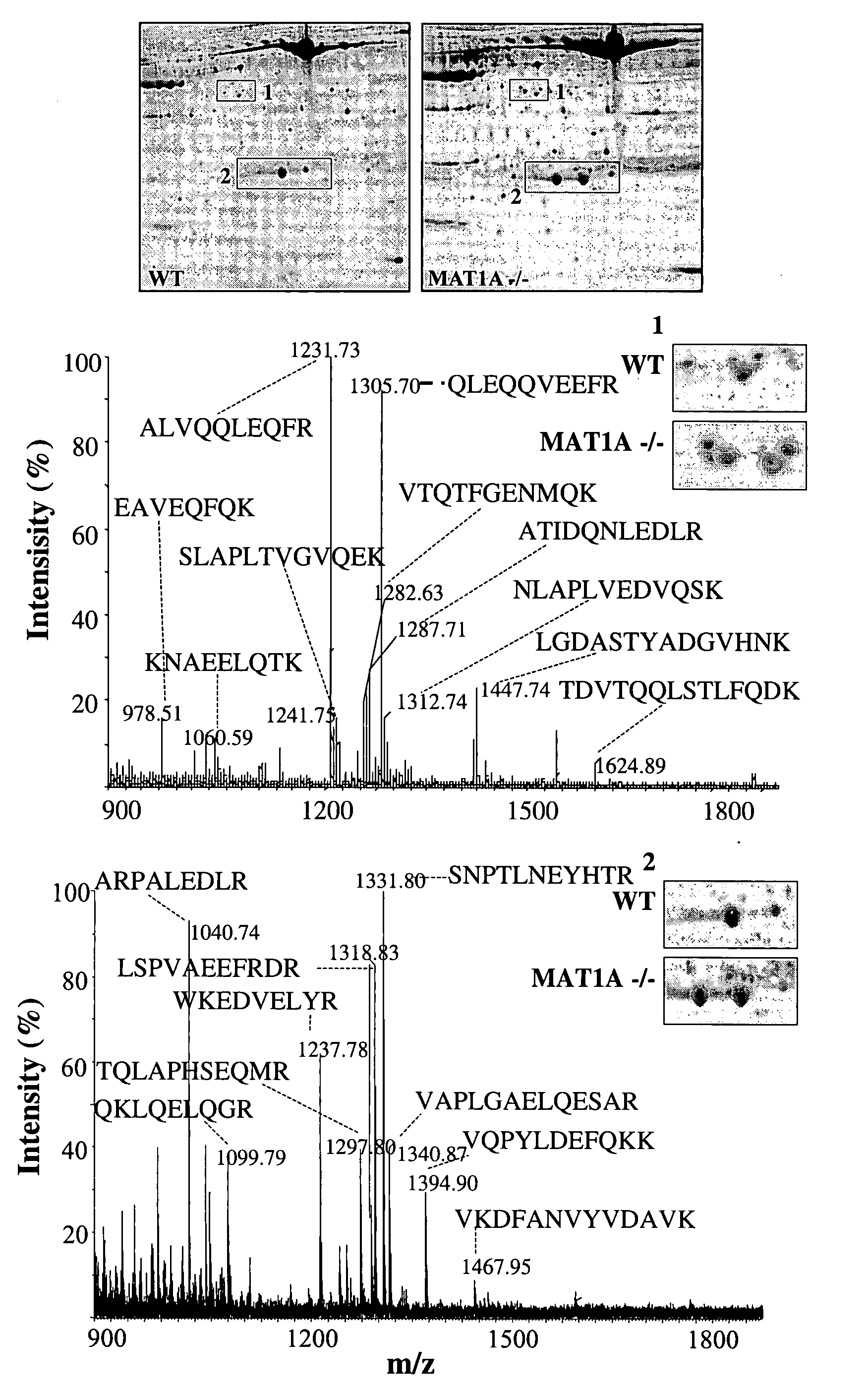 Method for Diagnosing Hepatic Diseases