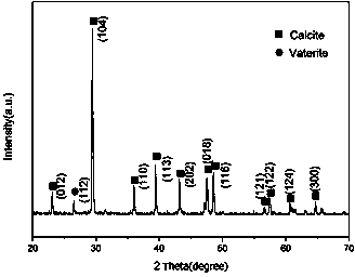 Method for preparing globular porous calcium carbonate granules