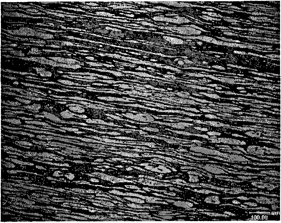 High nitrogen and low nickel duplex stainless steel and manufacturing method thereof