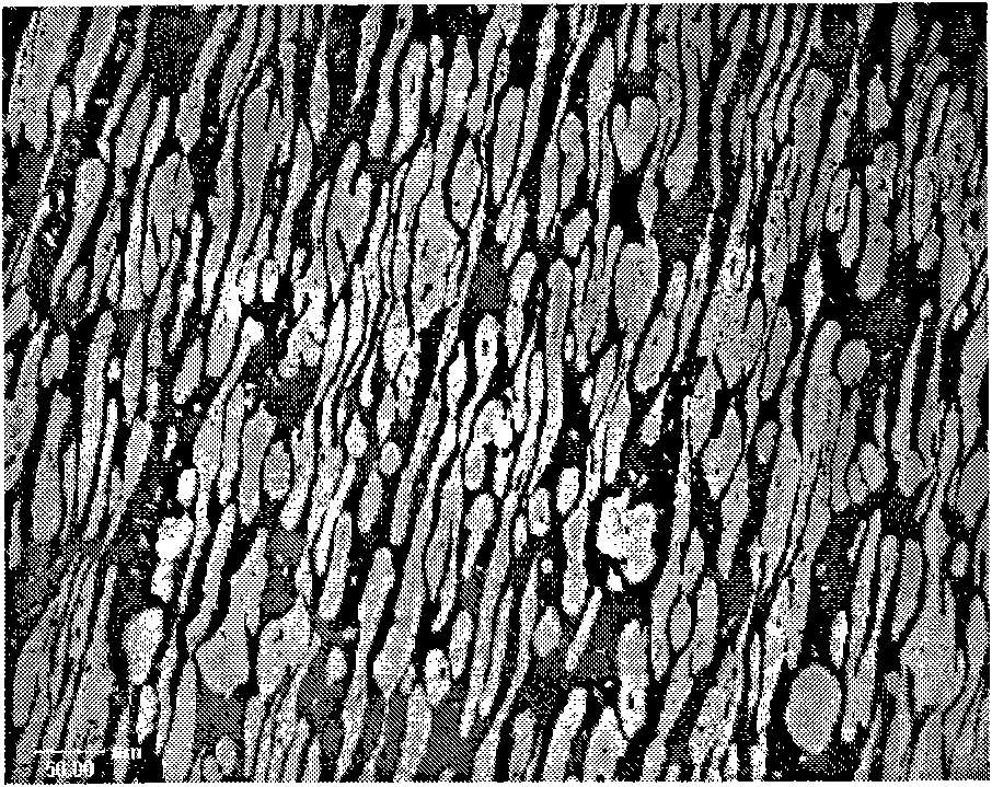 High nitrogen and low nickel duplex stainless steel and manufacturing method thereof