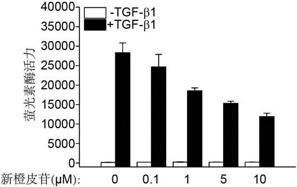 Application of flavone compound in treating lung fibrosis