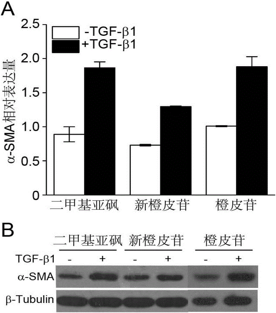 Application of flavone compound in treating lung fibrosis