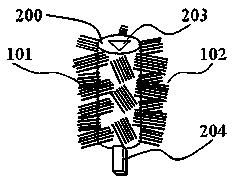 Novel brush head for toothbrush