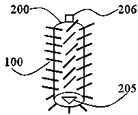 Novel brush head for toothbrush