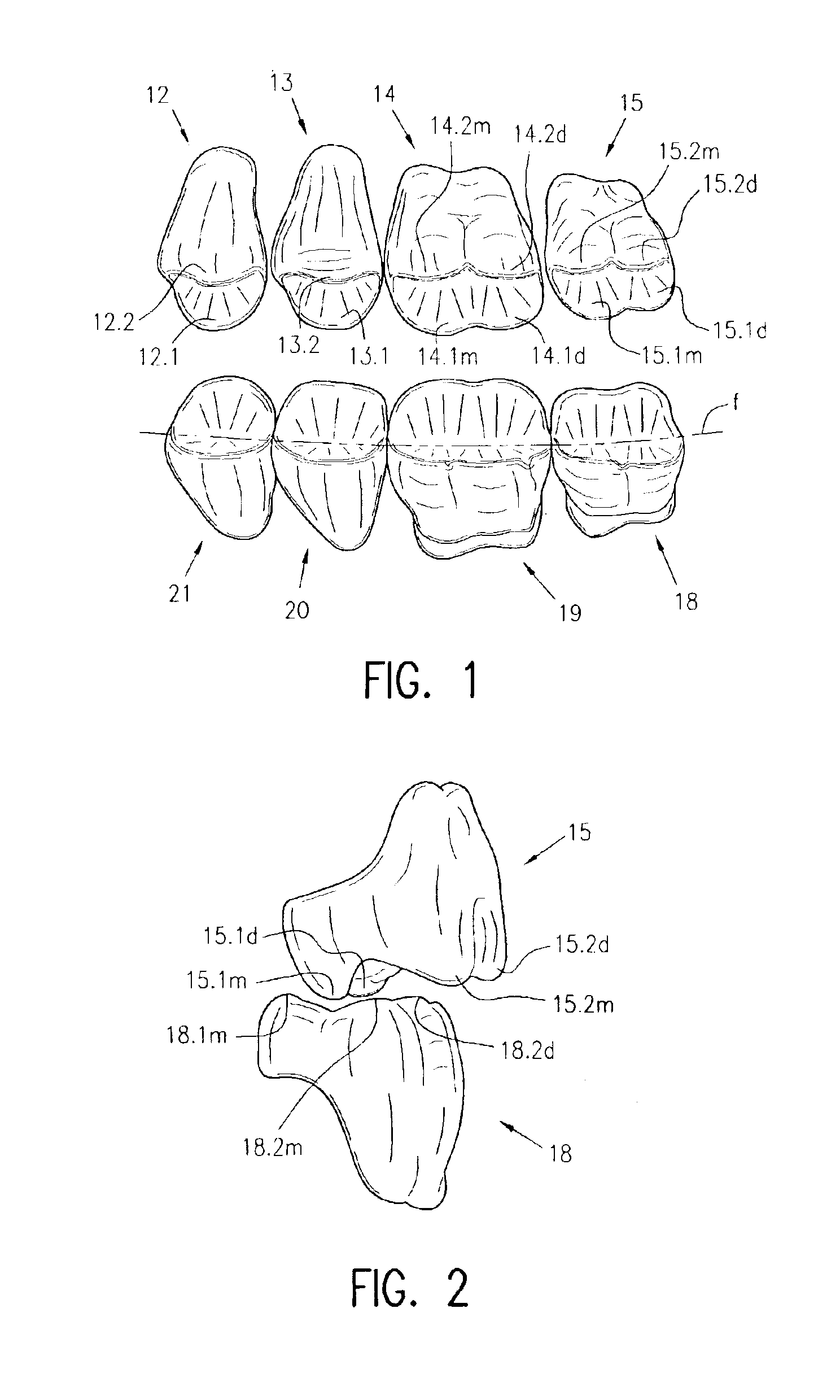 Sets of posterior teeth