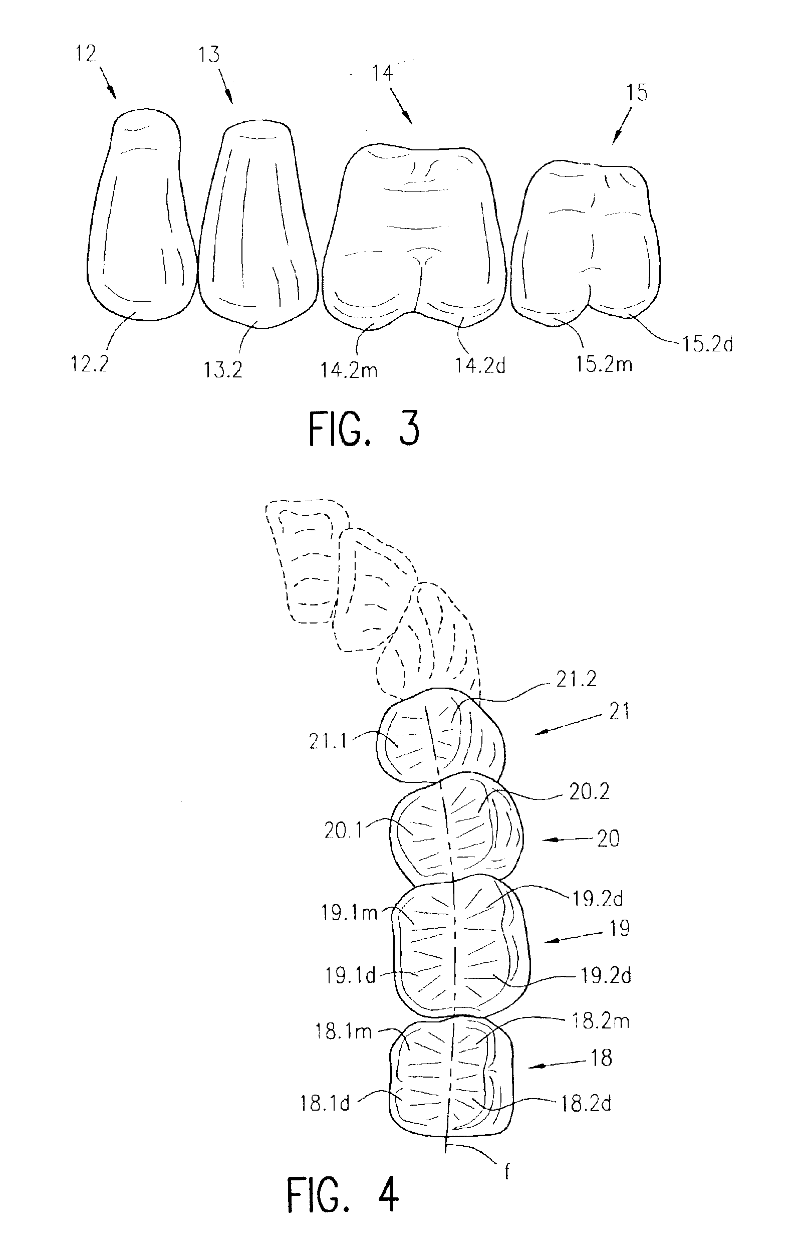 Sets of posterior teeth