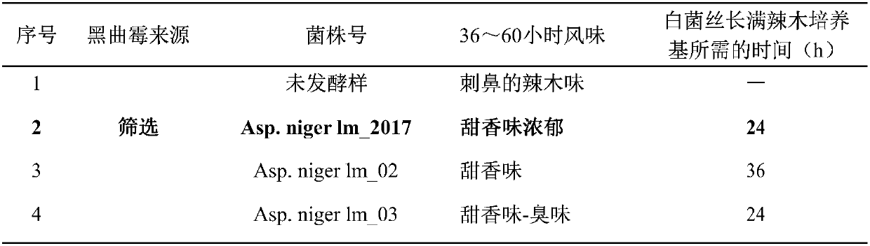 Aspergillus niger and applications of Aspergillus niger in fermentation of Moringa leaves