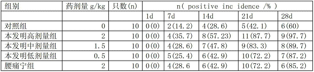 Traditional Chinese medicine composition for curing lumbar interveterbral disc protrusion and preparation method thereof