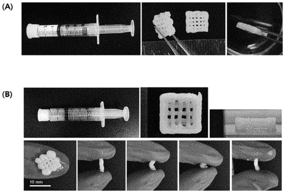 Bio-ink composition for 3D printing, containing human-derived component and having tissue-specific cell differentiation effect, and preparation method therefor