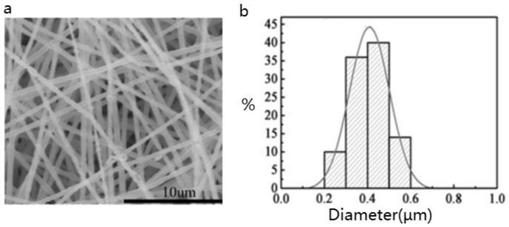 Amphiphilic polymer for promoting stem cell interface adhesion growth and preparation method and use thereof