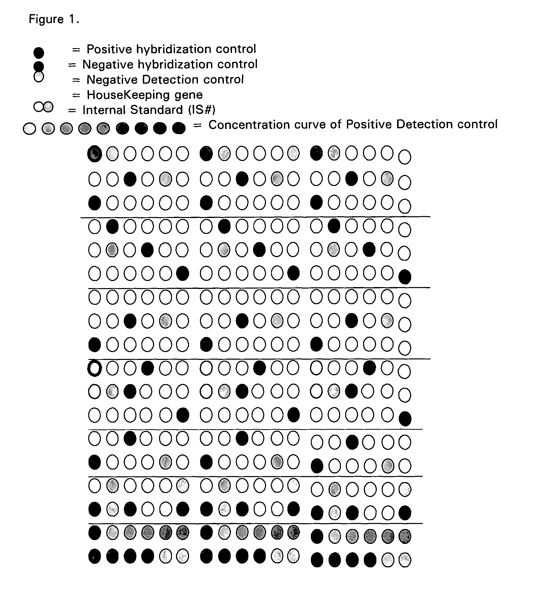 Method for analyzing activation pathways controlled by neurotransmitters