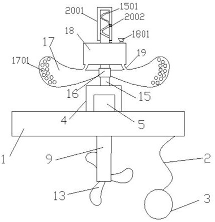 Feeding machine for salangid culture