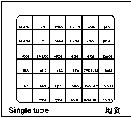 Single-tube amplification kit for simultaneously detecting alpha and beta thalassemia genes