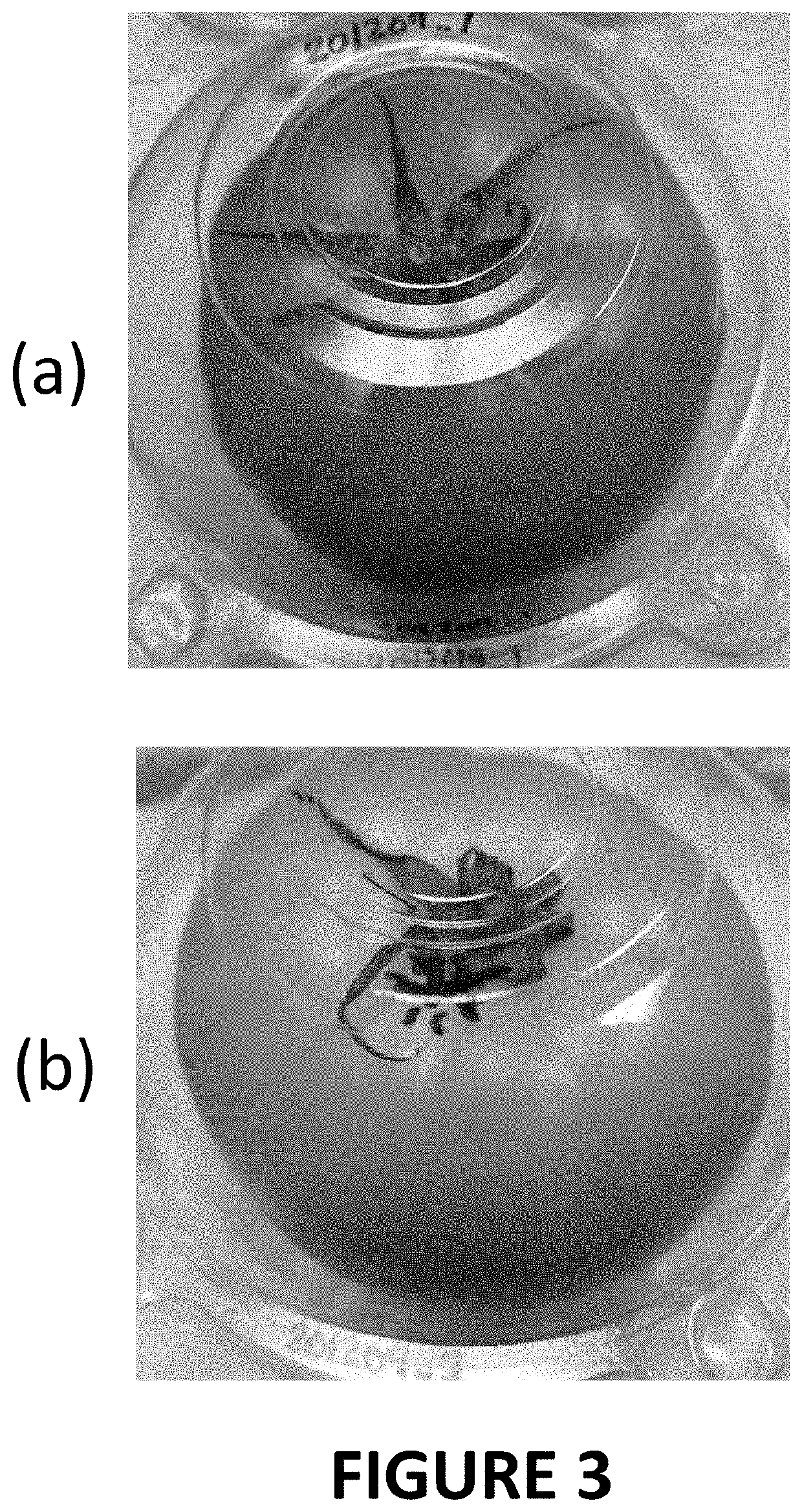 Materials and methods for extending shelf-life of foods