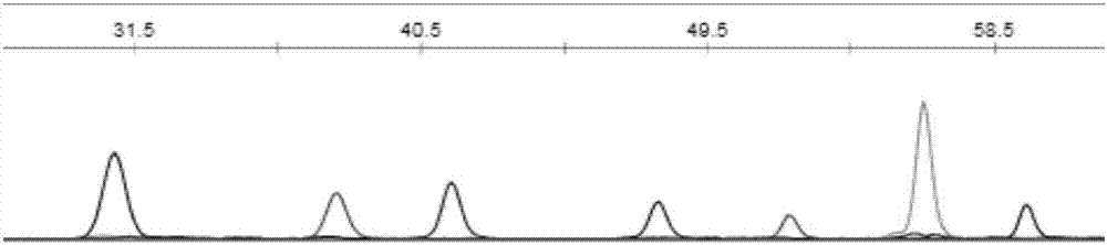 SNaPshot kit for detecting deafness gene polymorphisms on 10 loci