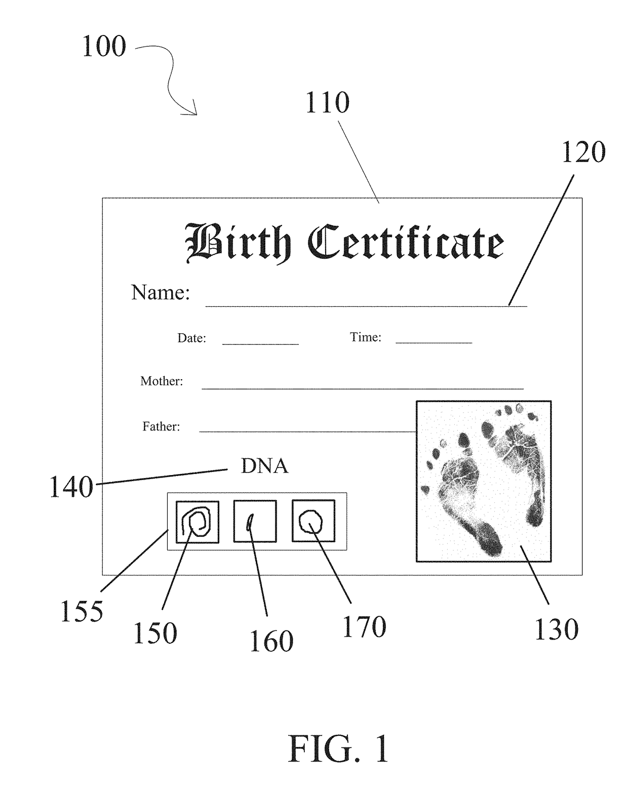 Family genetic history storage system for storing DNA information on an identification certificate