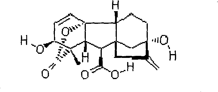 Gibberellin effervescent granules or tablets and preparation method thereof