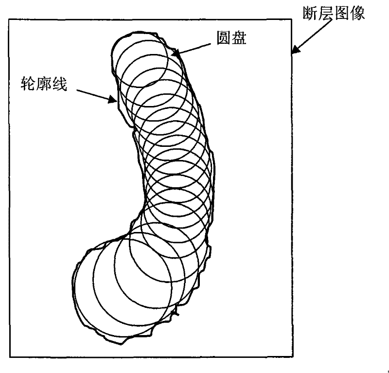 Method for re-establishing surface of three dimensional target object by unparallel dislocation image sequence